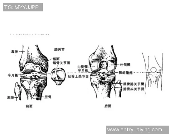 小波特透露膝盖内侧副韧带轻微扭伤正在恢复中感到酸痛逐渐减轻